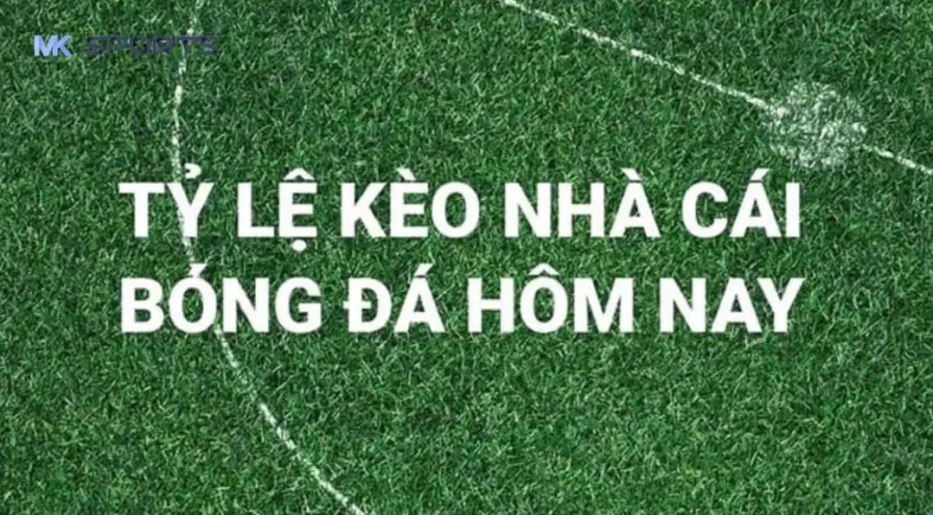 Khái niệm tỷ lệ kèo nhà cái tại MK Sports là gì?