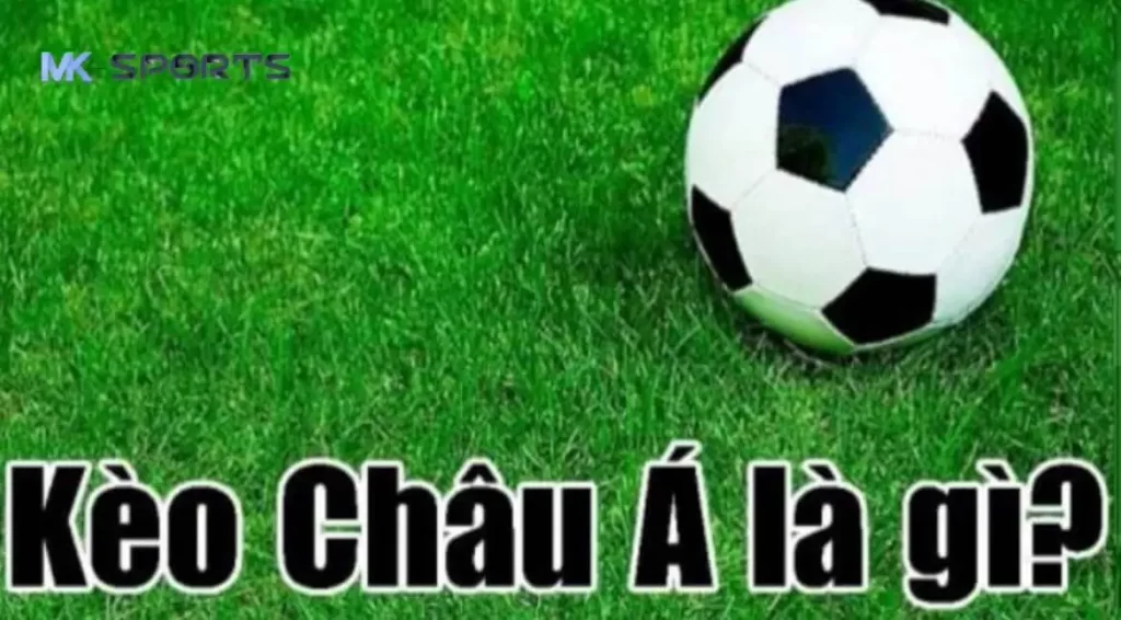 Kinh nghiệm chơi kèo châu Á như một cao thủ tại MK Sports