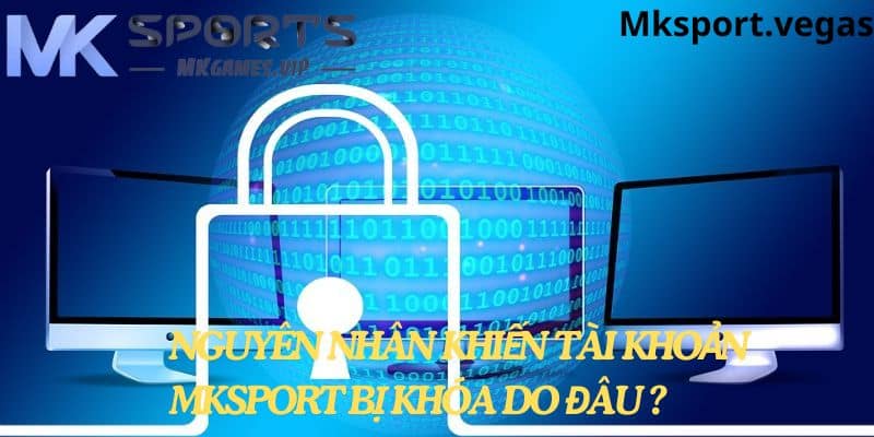 Nguyên nhân dẫn đến tài khoản mk sport bị khóa